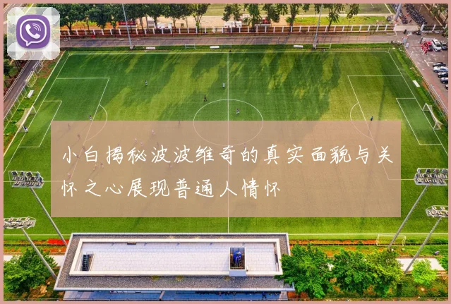 小白揭秘波波维奇的真实面貌与关怀之心展现普通人情怀